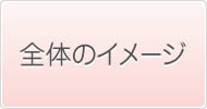 全体のイメージ